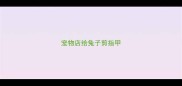 宠物店给兔子剪指甲