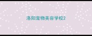洛阳宠物美容学校