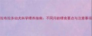 拉布拉多幼犬科学喂养指南不同月龄喂食要点与注意事项