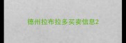 德州拉布拉多买卖信息