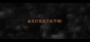 金毛打疫苗不吃不喝