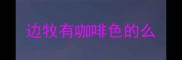 边牧有咖啡色的么