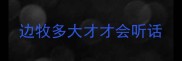 边牧多大才才会听话