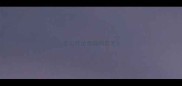 怎么样给泰迪狗剪毛