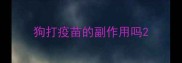 狗打疫苗的副作用吗