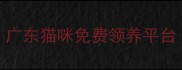 广东猫咪免费领养平台
