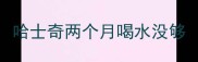 哈士奇两个月喝水没够
