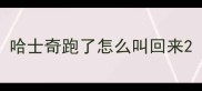 哈士奇跑了怎么叫回来
