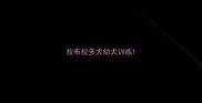 拉布拉多犬幼犬训练