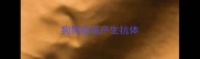 狗狗疫苗产生抗体