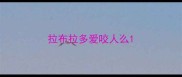 拉布拉多爱咬人么