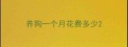 养狗一个月花费多少