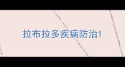 拉布拉多疾病防治
