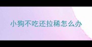 小狗不吃还拉稀怎么办