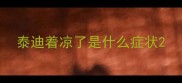 泰迪着凉了是什么症状