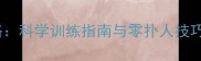 哈士奇扑人行为全攻略科学训练指南与零扑人技巧附120天训练计划