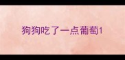 狗狗吃了一点葡萄