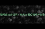 狗狗疫苗期间能出去玩吗幼犬必看疫苗后外出全攻略