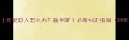 2个月哈士奇爱咬人怎么办新手家长必看纠正指南附训练视频