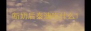 断奶后泰迪吃什么