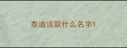 泰迪该取什么名字