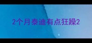 2个月泰迪有点狂躁