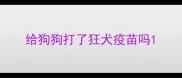给狗狗打了狂犬疫苗吗