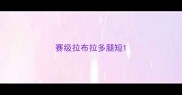 赛级拉布拉多腿短