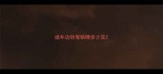 成年边牧每顿喂多少克