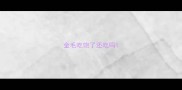 金毛吃饱了还吃吗