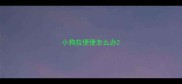 小狗拉便便怎么办