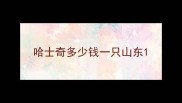 哈士奇多少钱一只山东