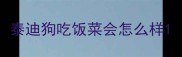 泰迪狗吃饭菜会怎么样