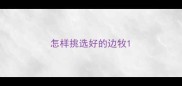 怎样挑选好的边牧