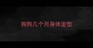 狗狗几个月身体定型