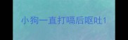 小狗一直打嗝后呕吐