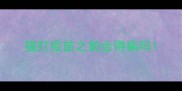 猫打疫苗之前会得病吗