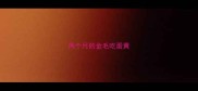 两个月的金毛吃蛋黄