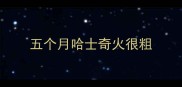 五个月哈士奇火很粗