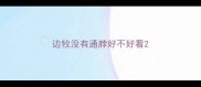 边牧没有通脖好不好看