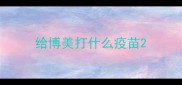 给博美打什么疫苗