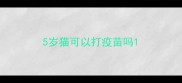 5岁猫可以打疫苗吗