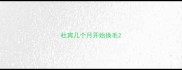 杜宾几个月开始换毛
