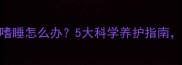 狗狗打完疫苗后嗜睡怎么办5大科学养护指南新手家长必看
