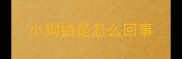 小狗抽是怎么回事