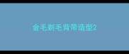 金毛剃毛背带造型