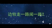 边牧走一路闻一路