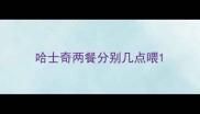 哈士奇两餐分别几点喂