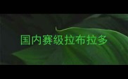 国内赛级拉布拉多