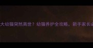 2个月大幼猫突然离世幼猫养护全攻略新手家长必看